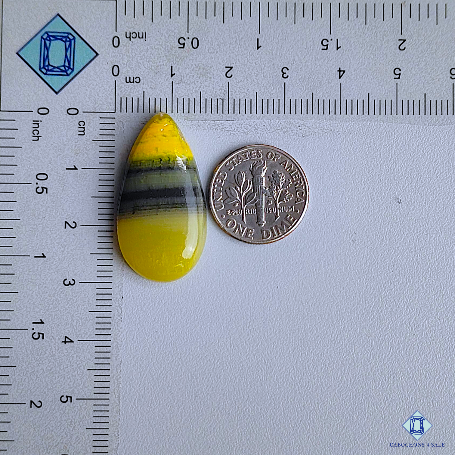 Bumble Bee Jasper