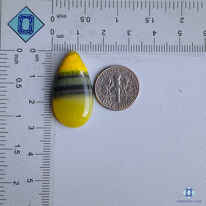 Bumble Bee Jasper