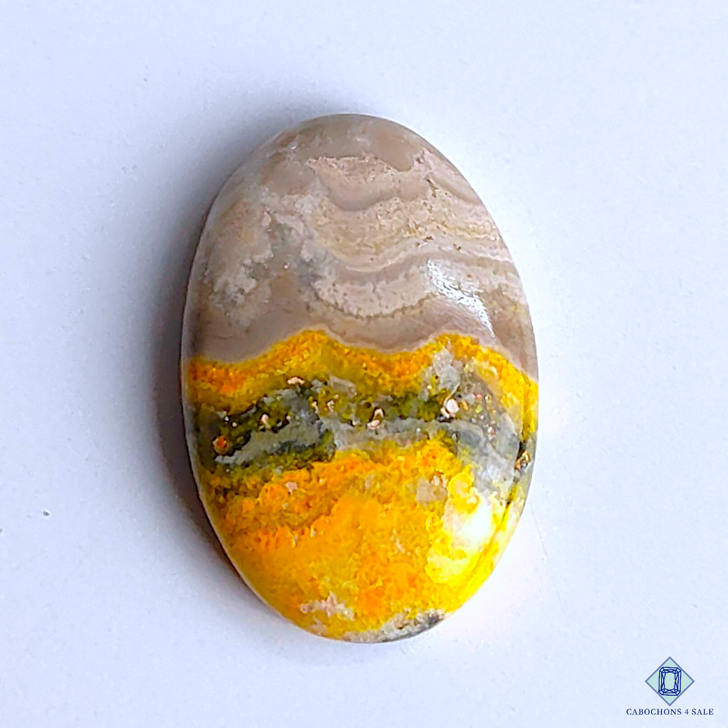Bumble Bee Jasper