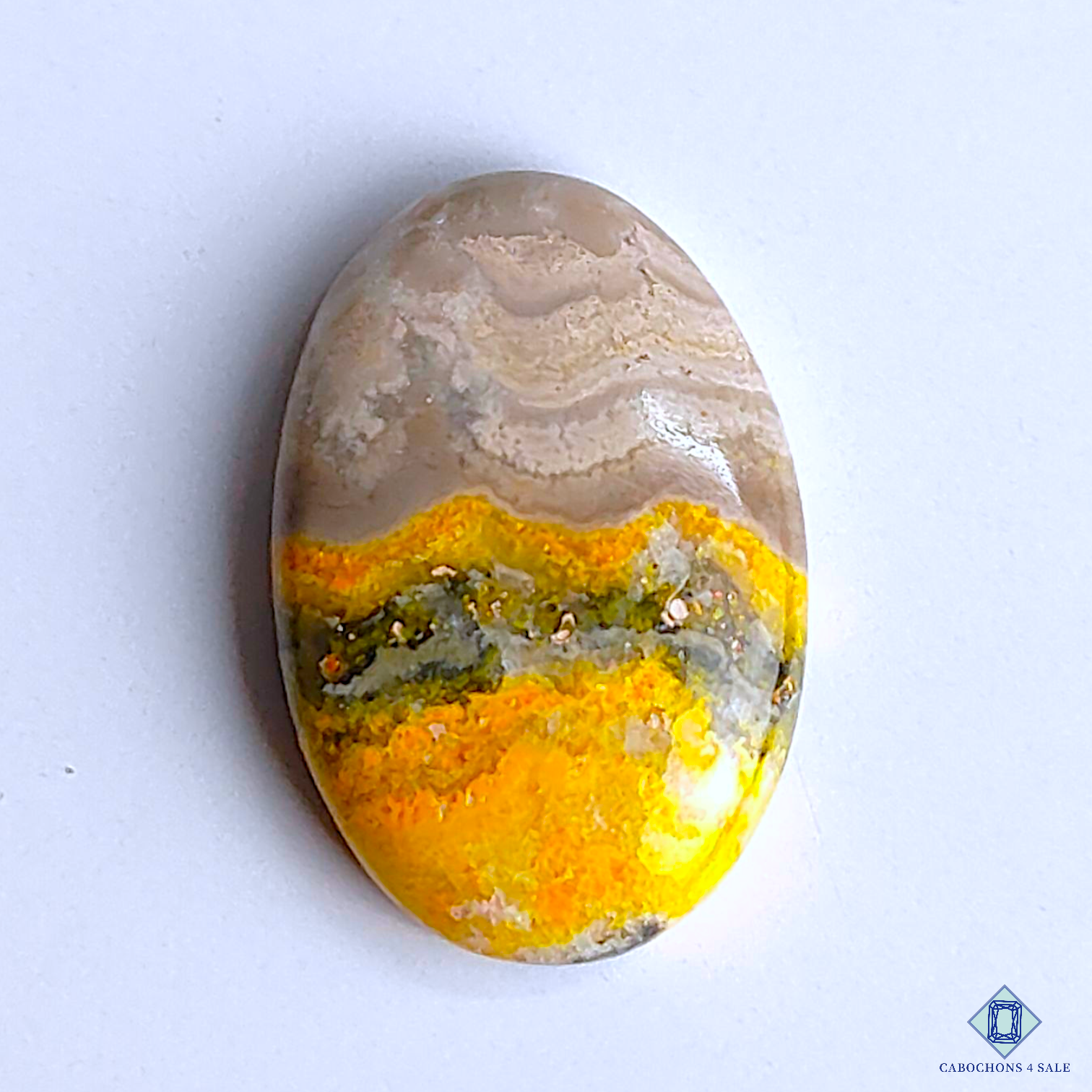 Bumble Bee Jasper