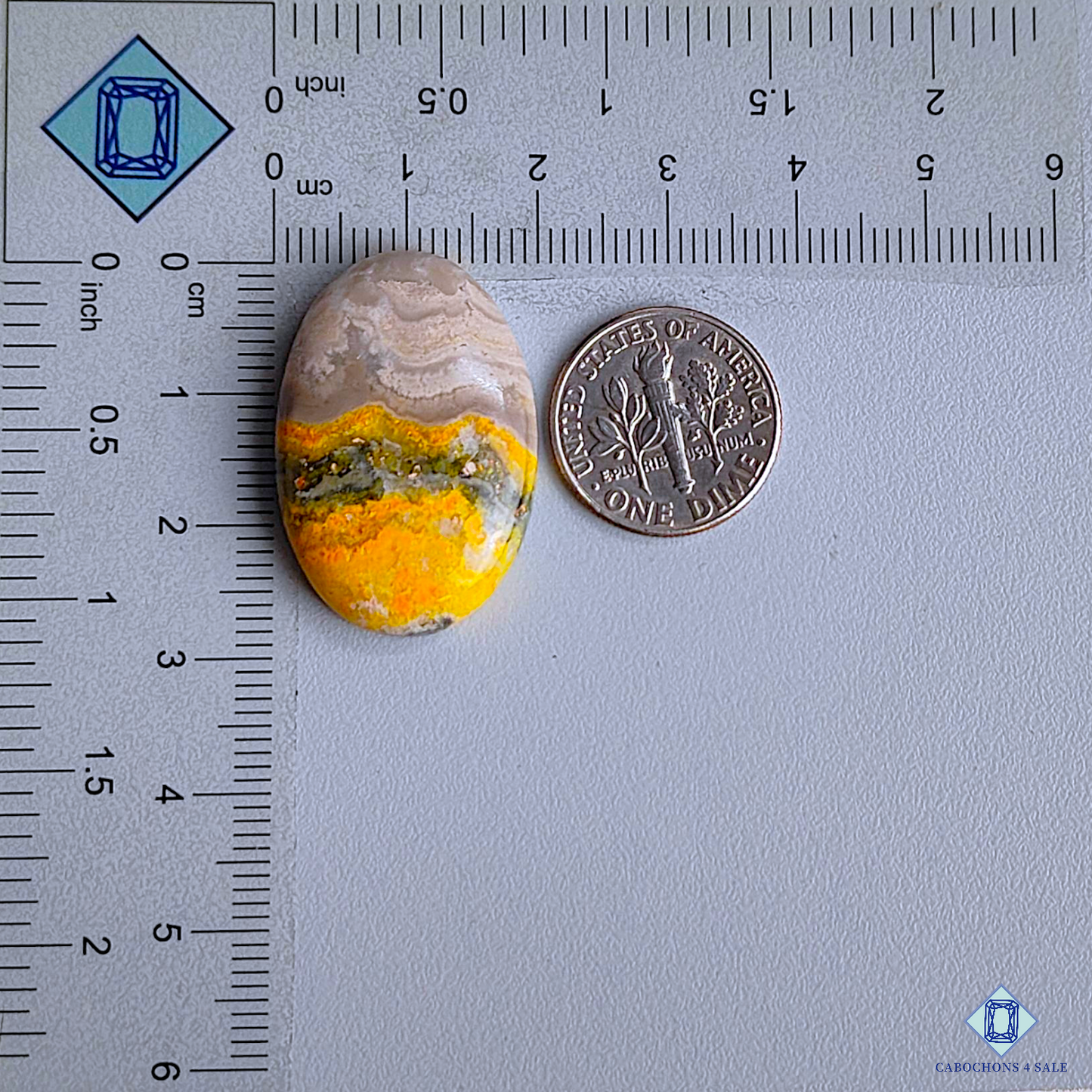 Bumble Bee Jasper