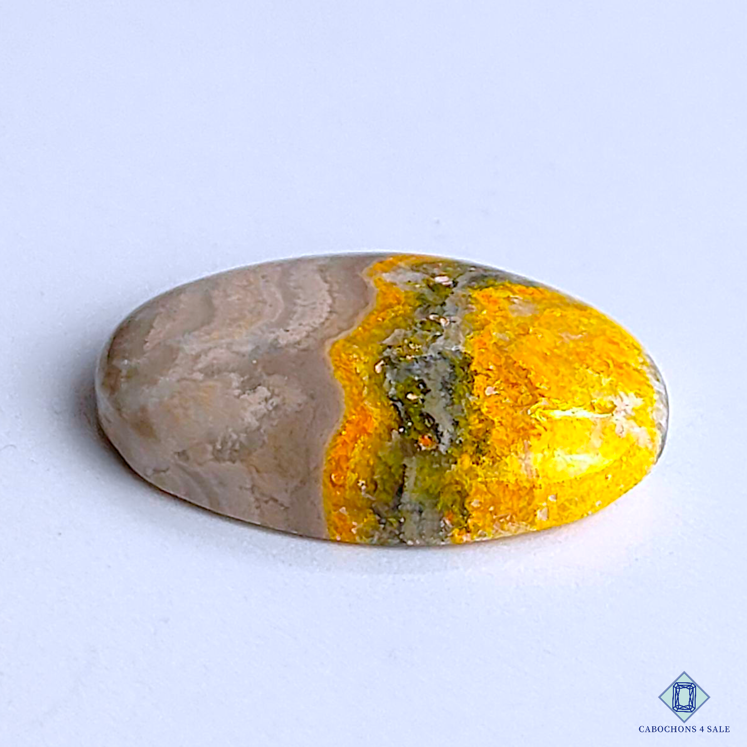 Bumble Bee Jasper