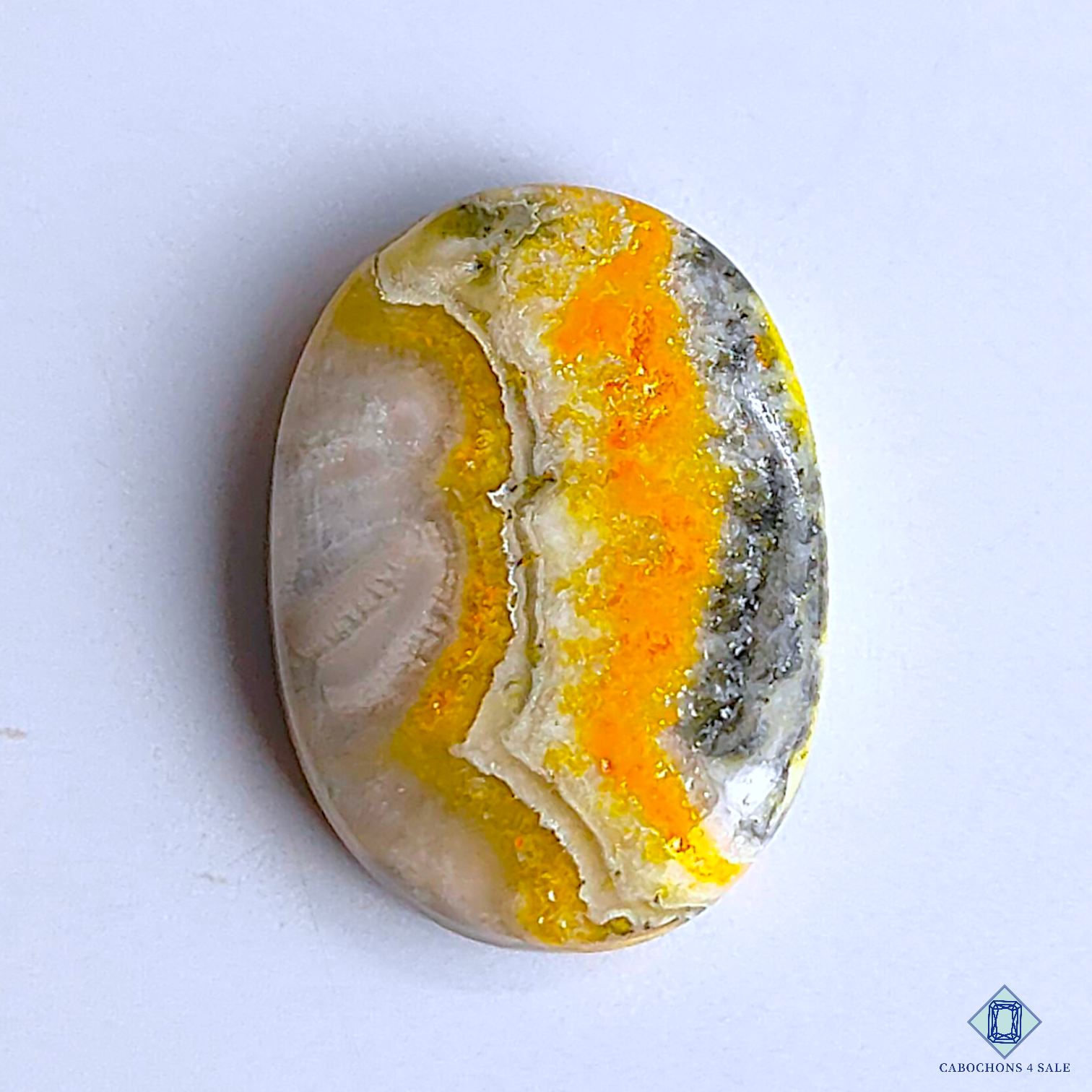 Bumble Bee Jasper