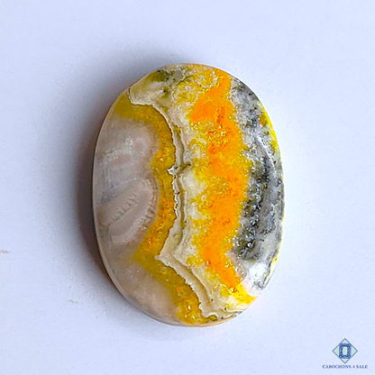 Bumble Bee Jasper