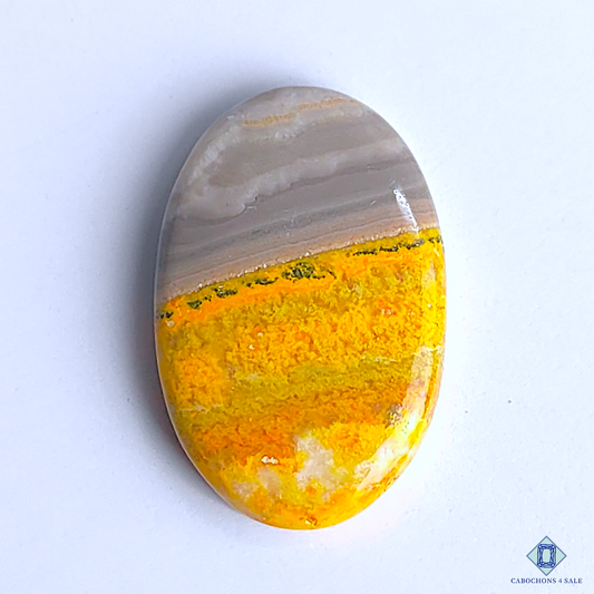 Bumble Bee Jasper