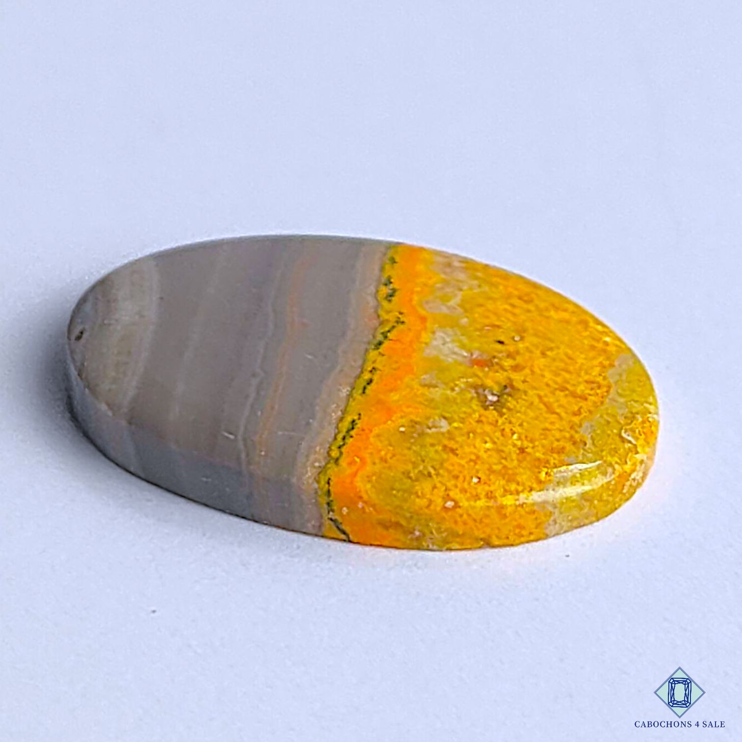 Bumble Bee Jasper