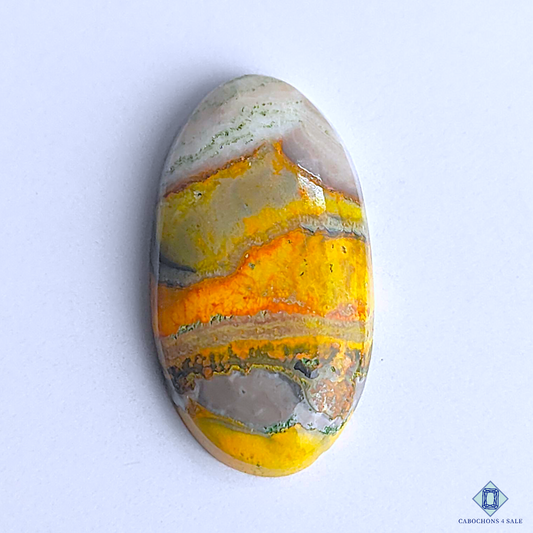 Bumble Bee Jasper