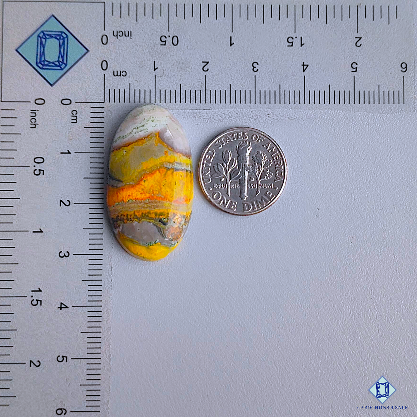 Bumble Bee Jasper