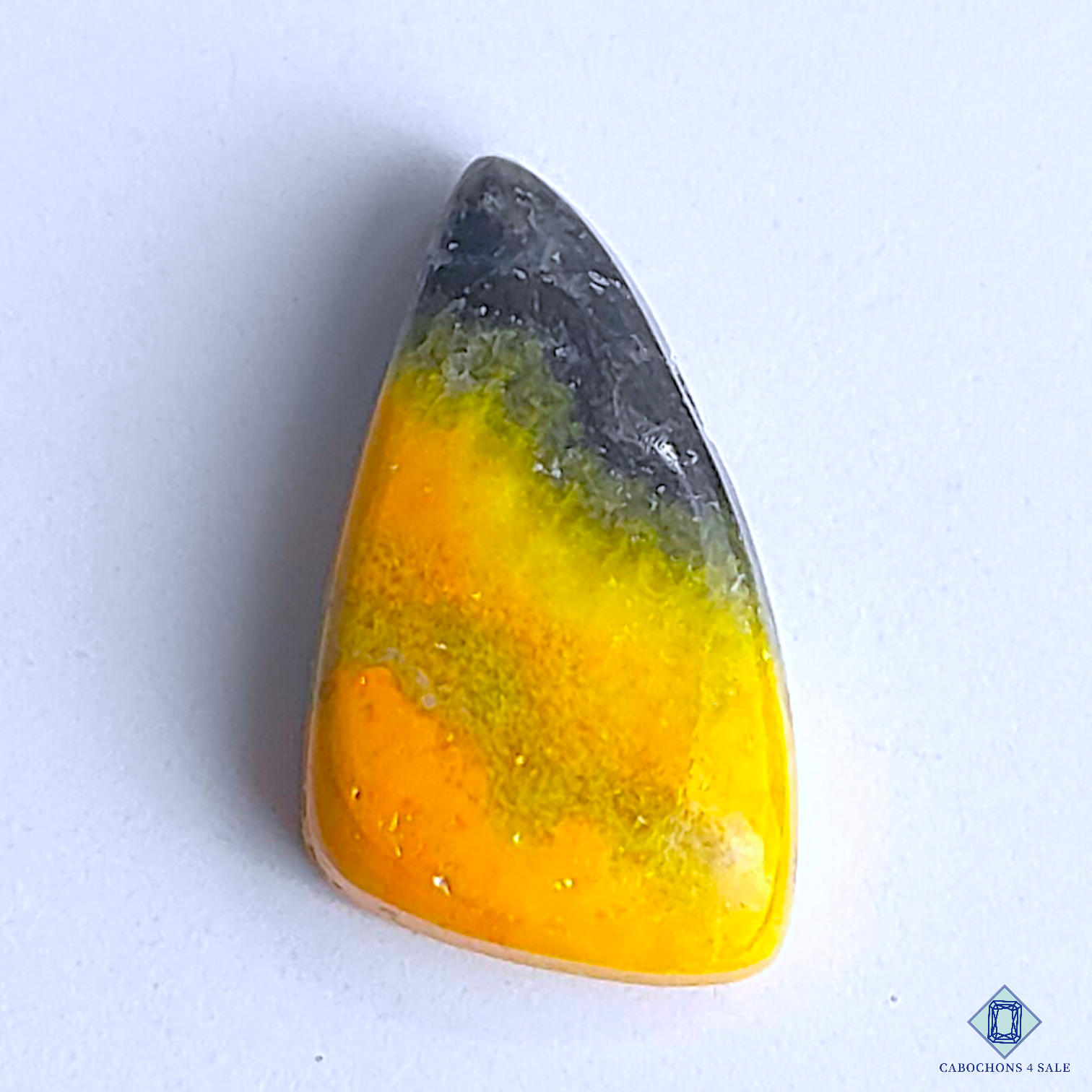Bumble Bee Jasper