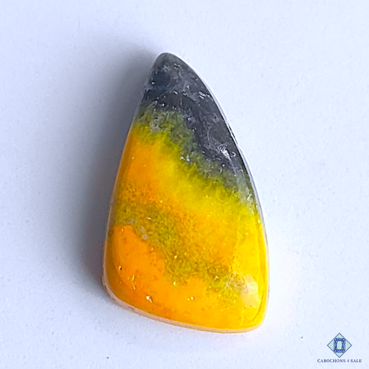 Bumble Bee Jasper