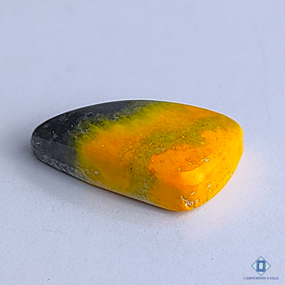 Bumble Bee Jasper