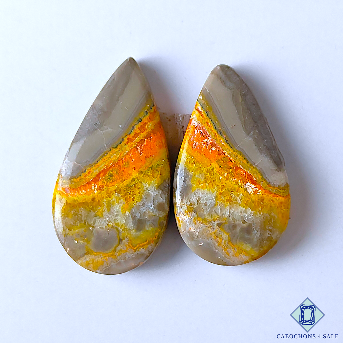 Bumble Bee Jasper