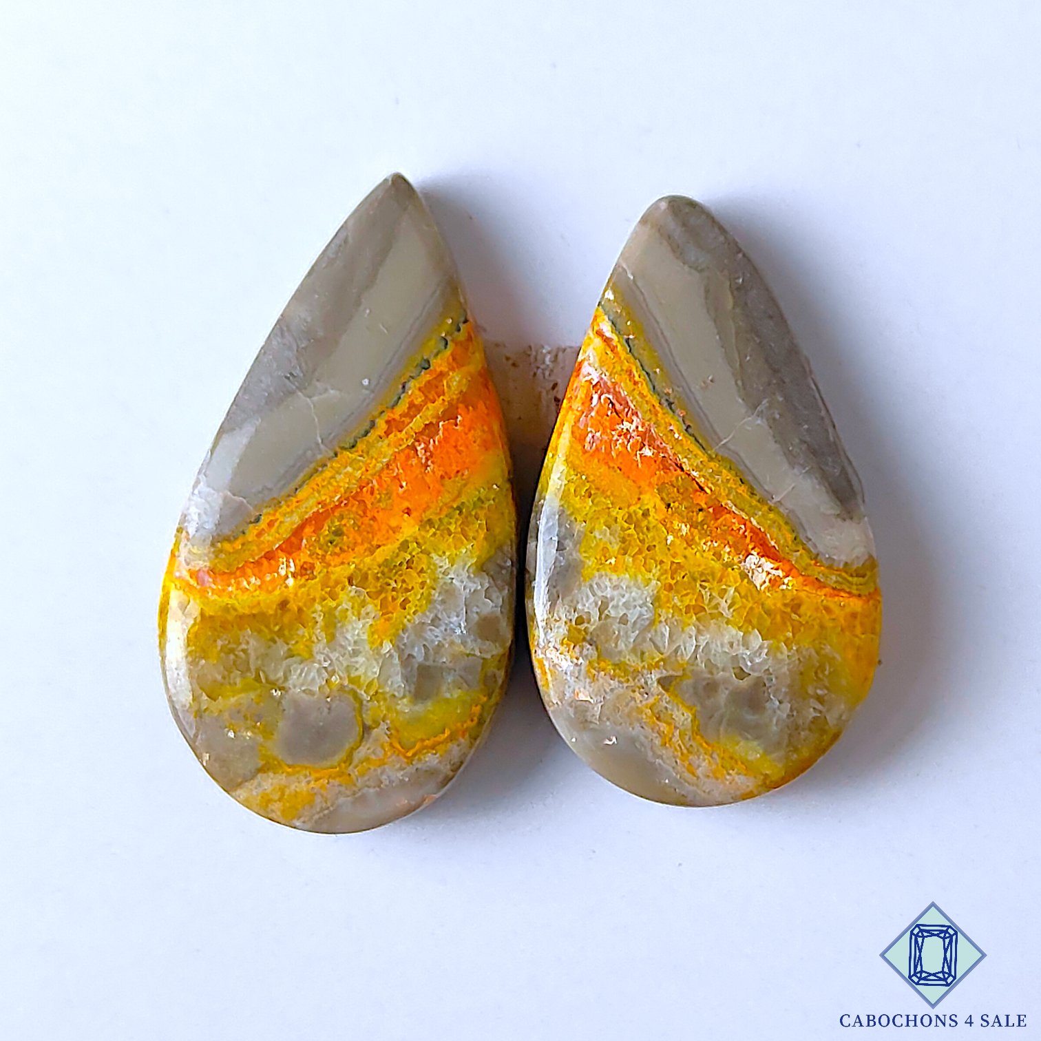 Bumble Bee Jasper