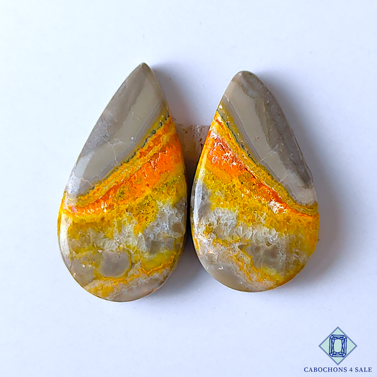 Bumble Bee Jasper