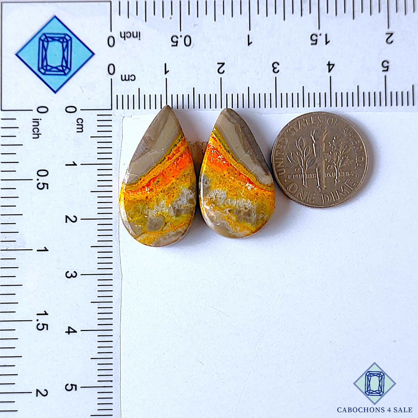 Bumble Bee Jasper