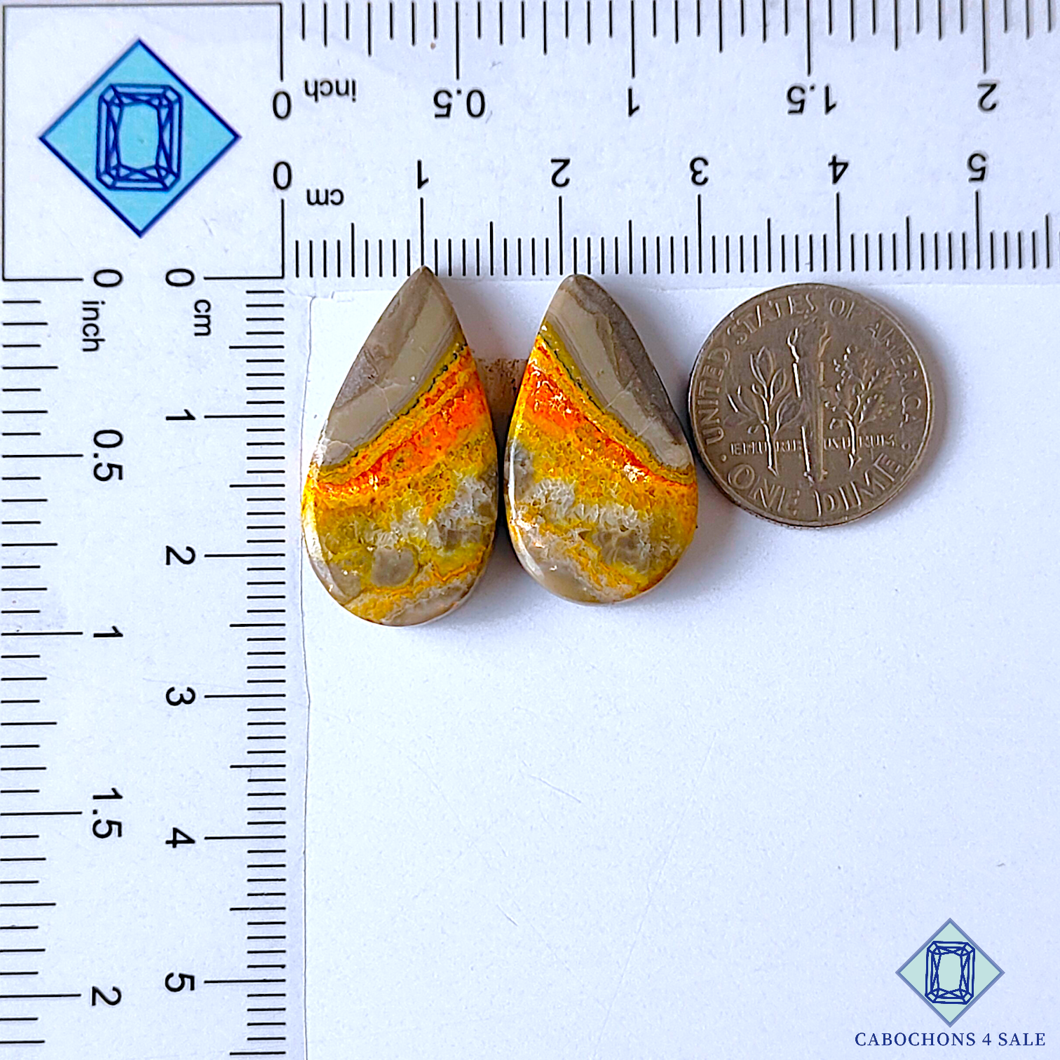 Bumble Bee Jasper