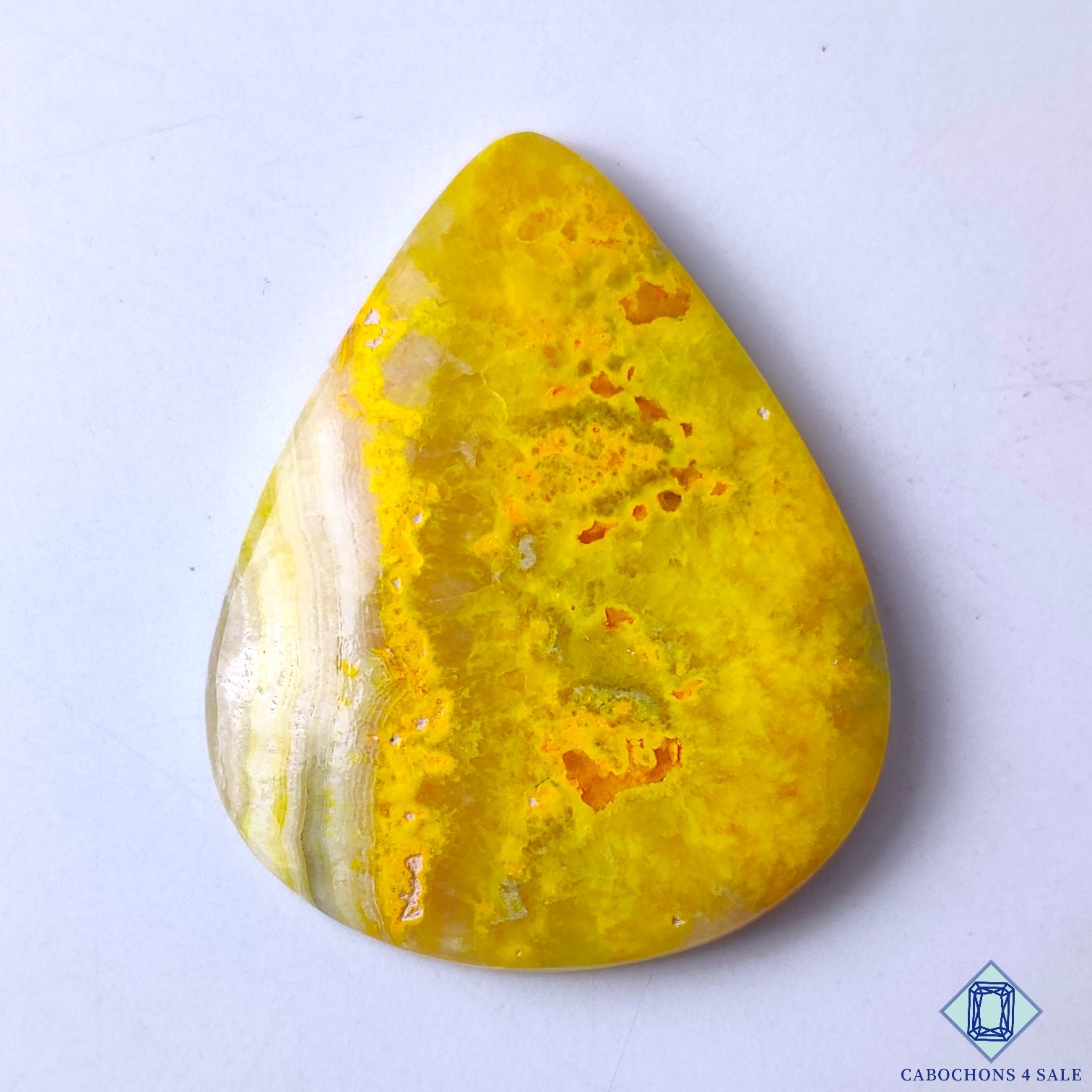 Bumble Bee Jasper