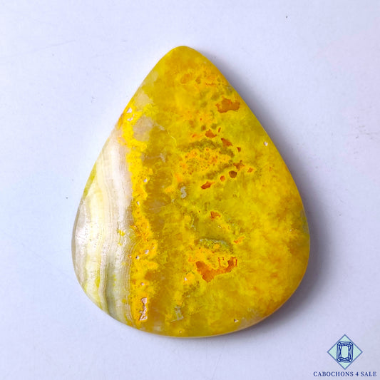 Bumble Bee Jasper