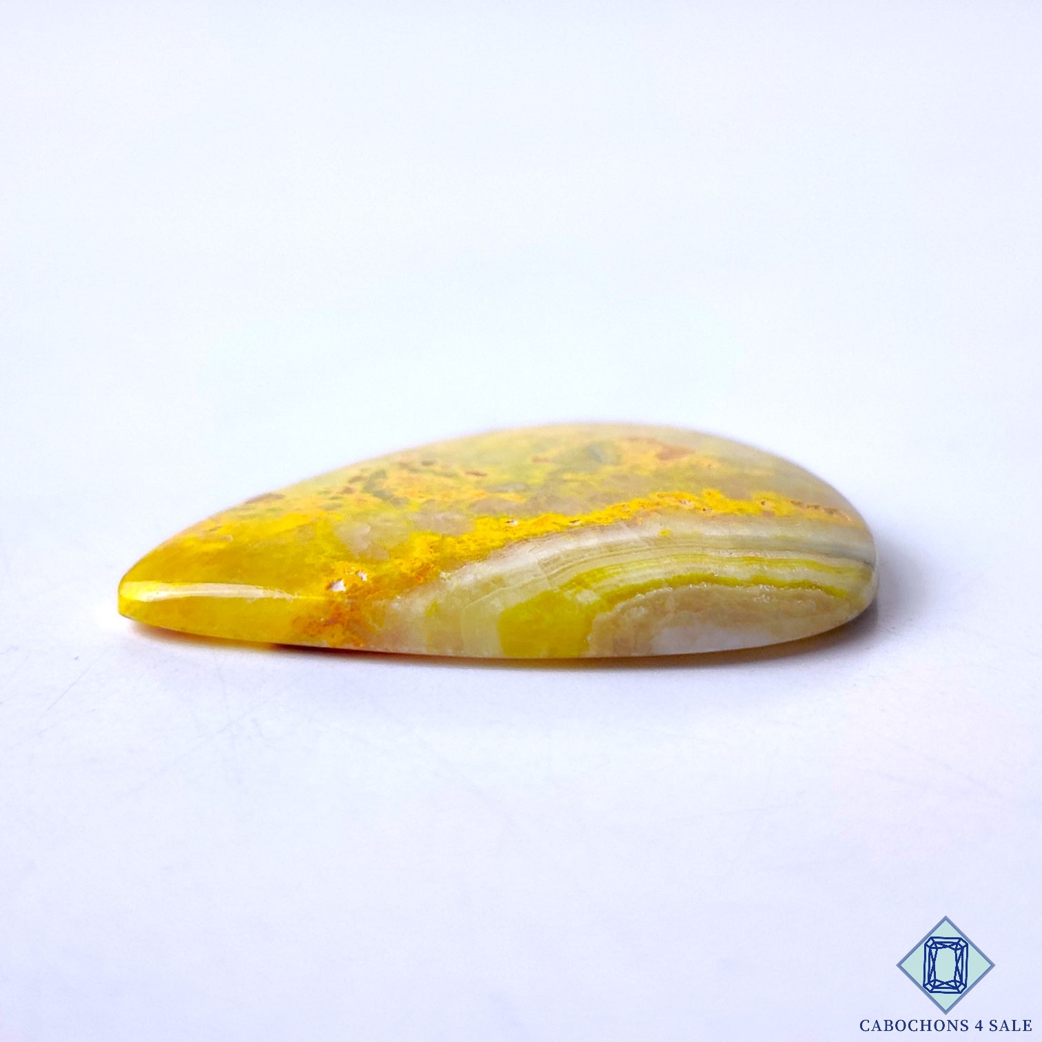 Bumble Bee Jasper