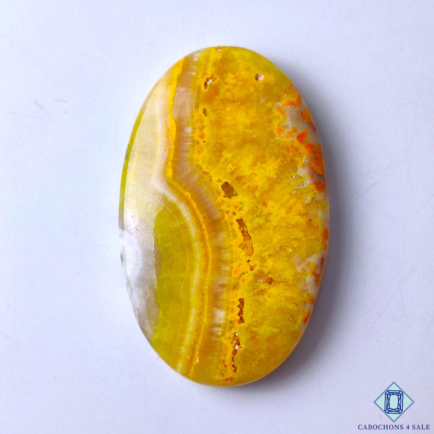 Bumble Bee Jasper
