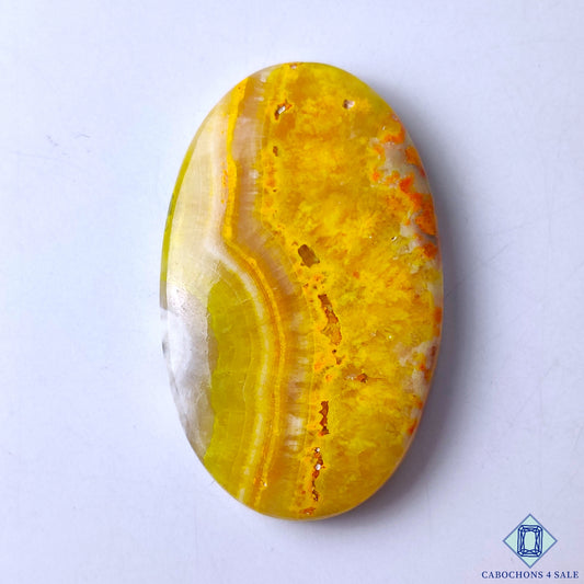 Bumble Bee Jasper