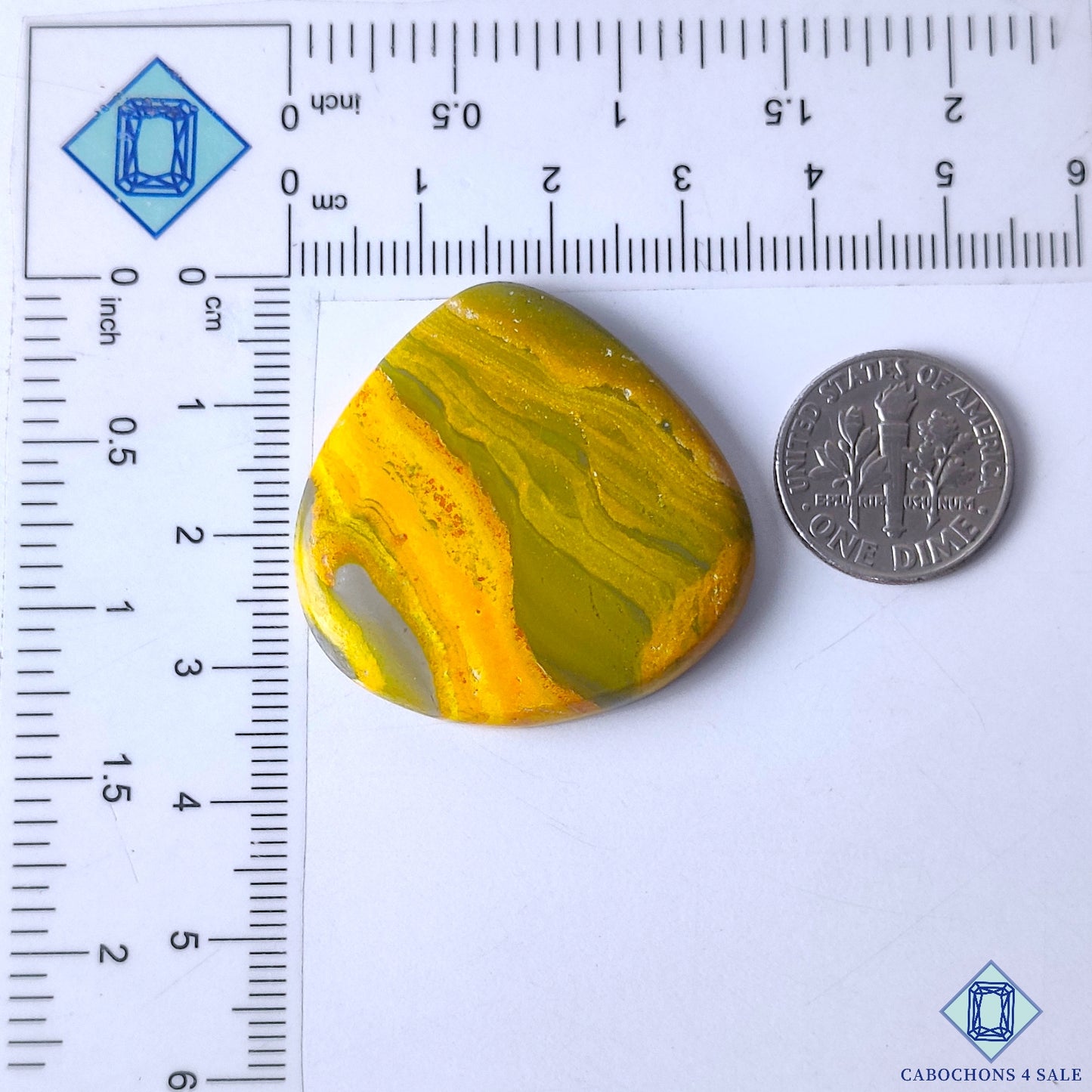 Bumble Bee Jasper
