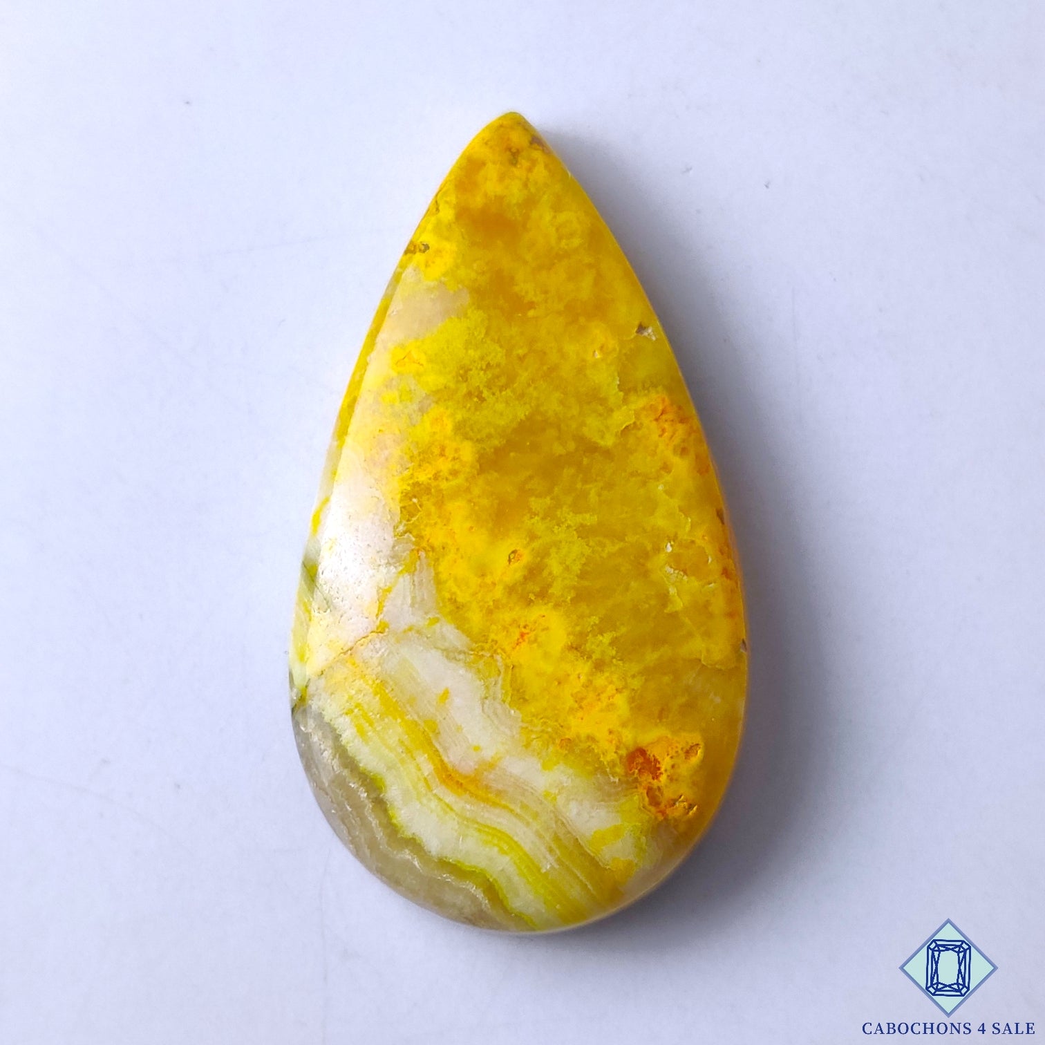 Bumble Bee Jasper