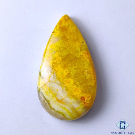 Bumble Bee Jasper