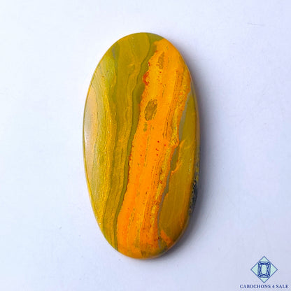 Bumble Bee Jasper