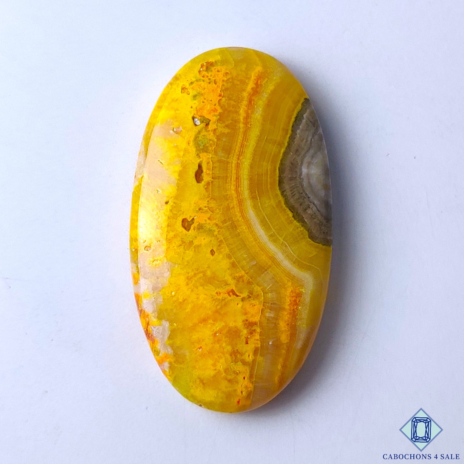 Bumble Bee Jasper