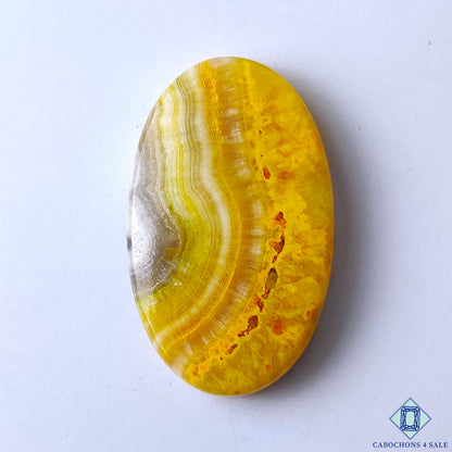 Bumble Bee Jasper