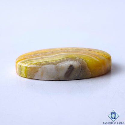 Bumble Bee Jasper