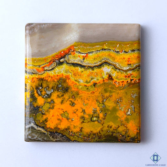 Bumble Bee Jasper