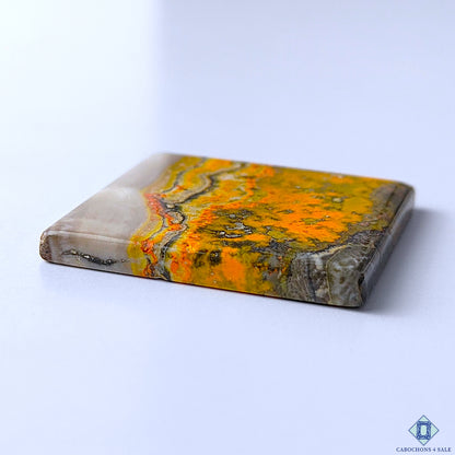 Bumble Bee Jasper