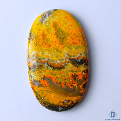 Bumble Bee Jasper