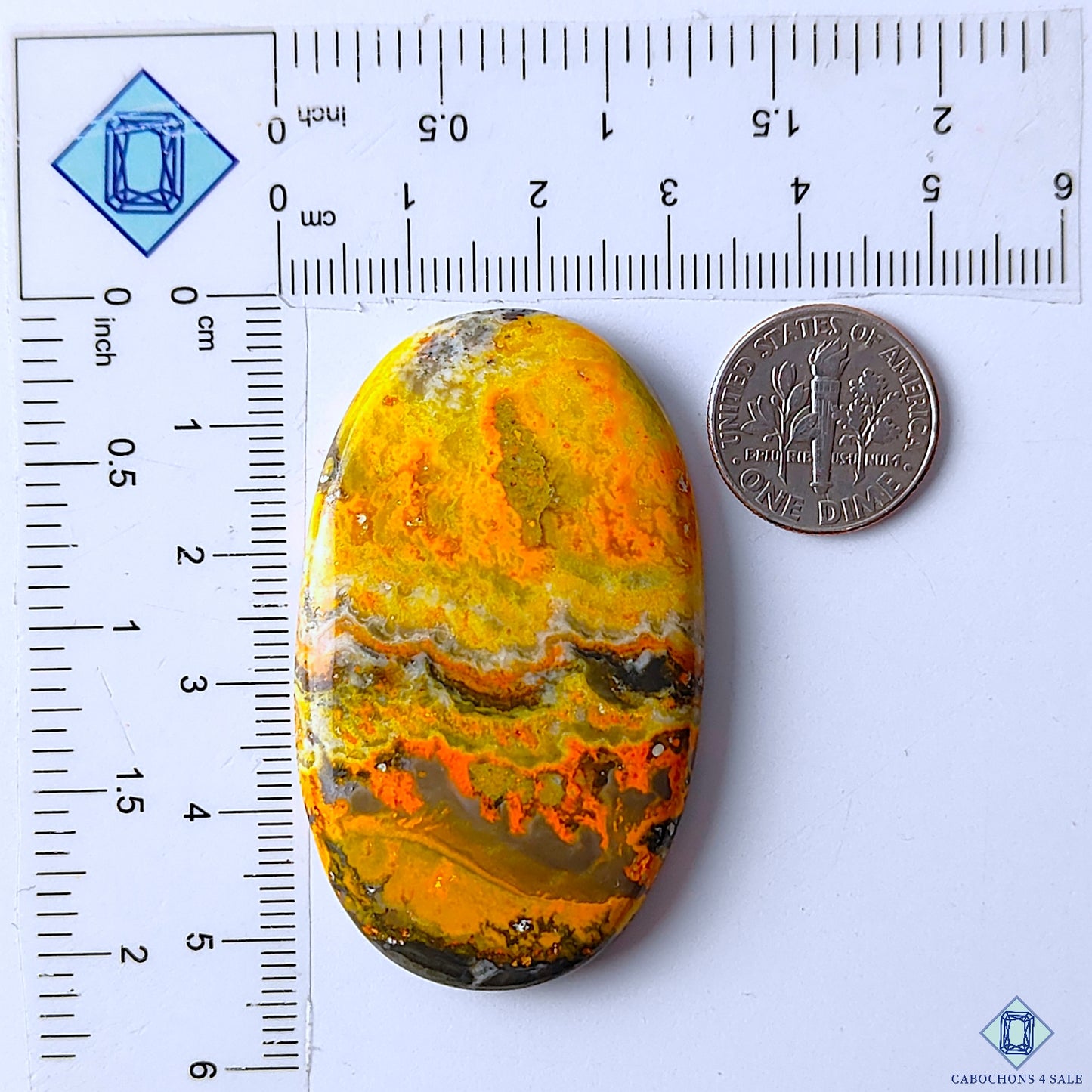 Bumble Bee Jasper