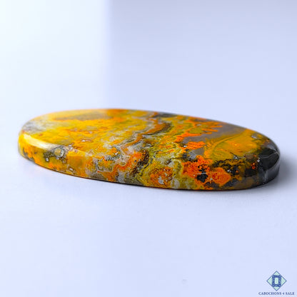 Bumble Bee Jasper