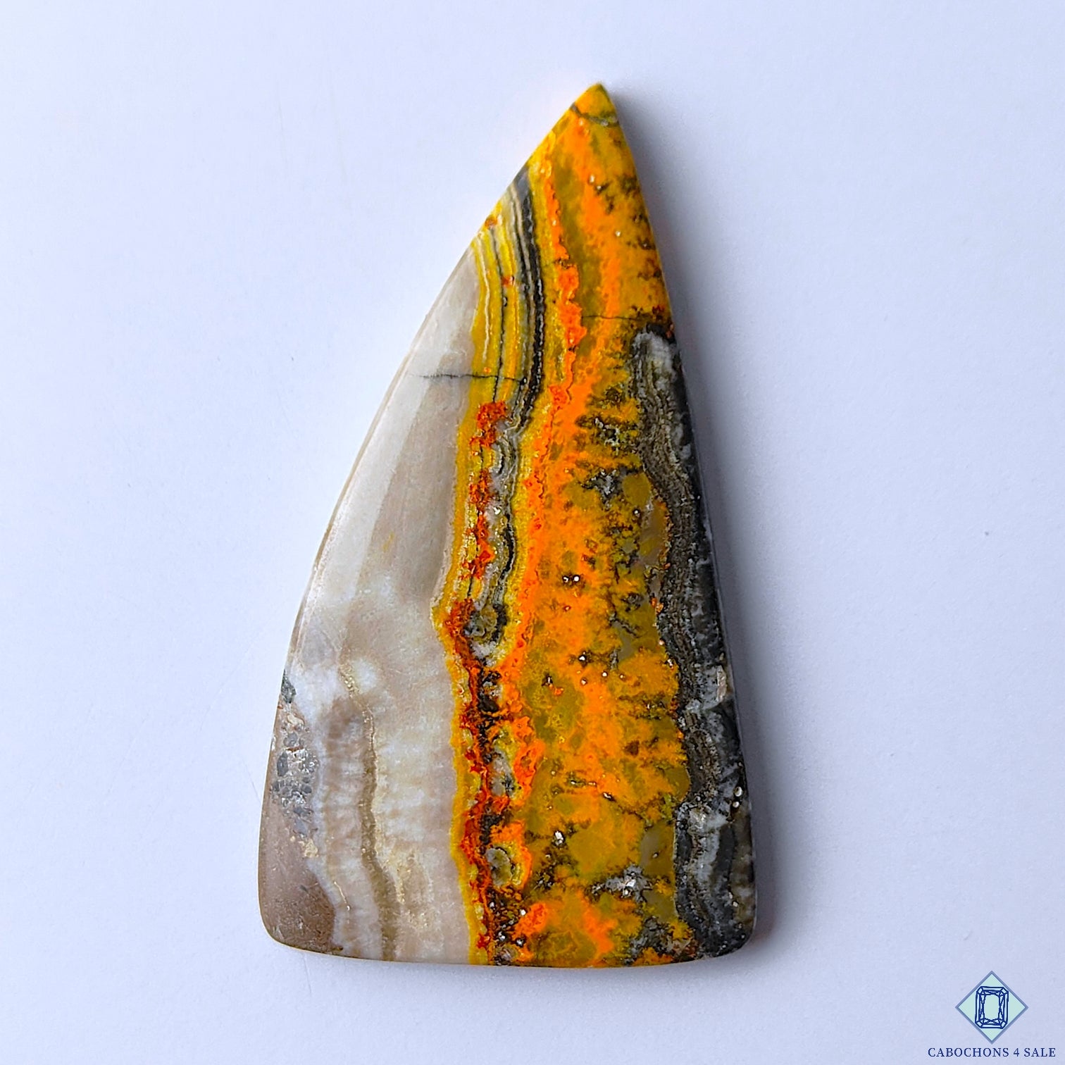 Bumble Bee Jasper