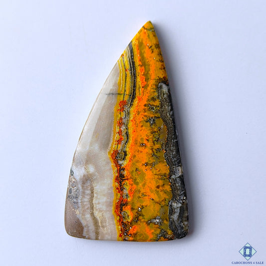 Bumble Bee Jasper