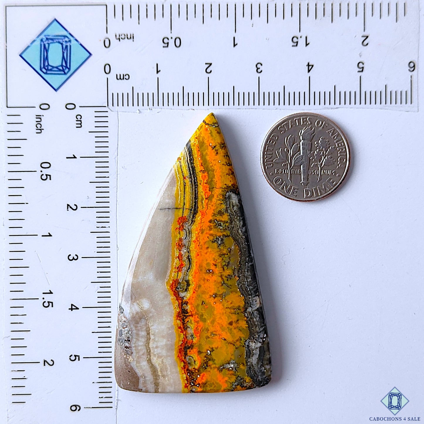 Bumble Bee Jasper