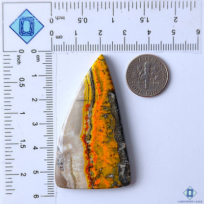 Bumble Bee Jasper