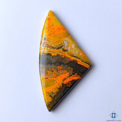Bumble Bee Jasper