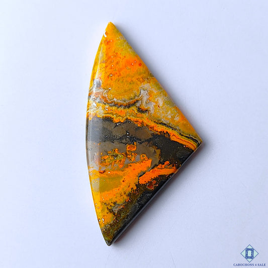 Bumble Bee Jasper