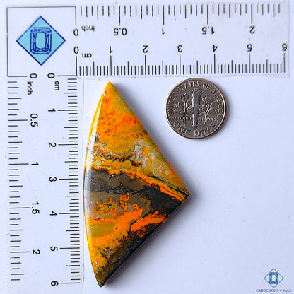 Bumble Bee Jasper