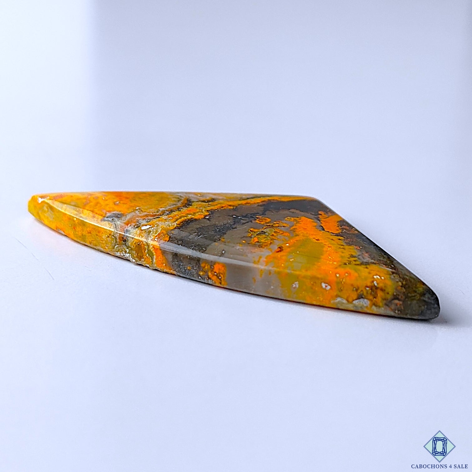 Bumble Bee Jasper