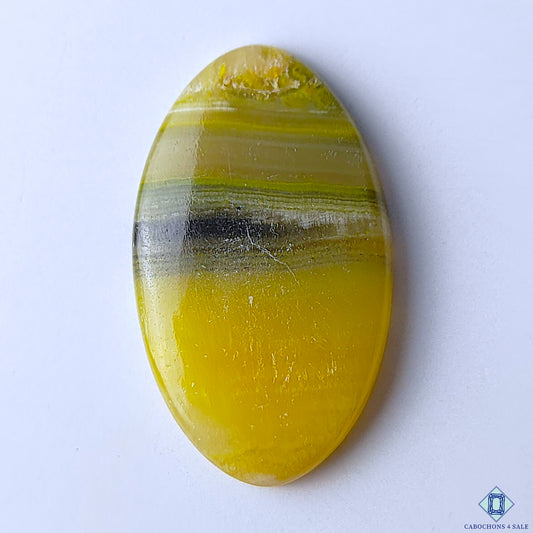 Bumble Bee Jasper