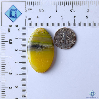 Bumble Bee Jasper