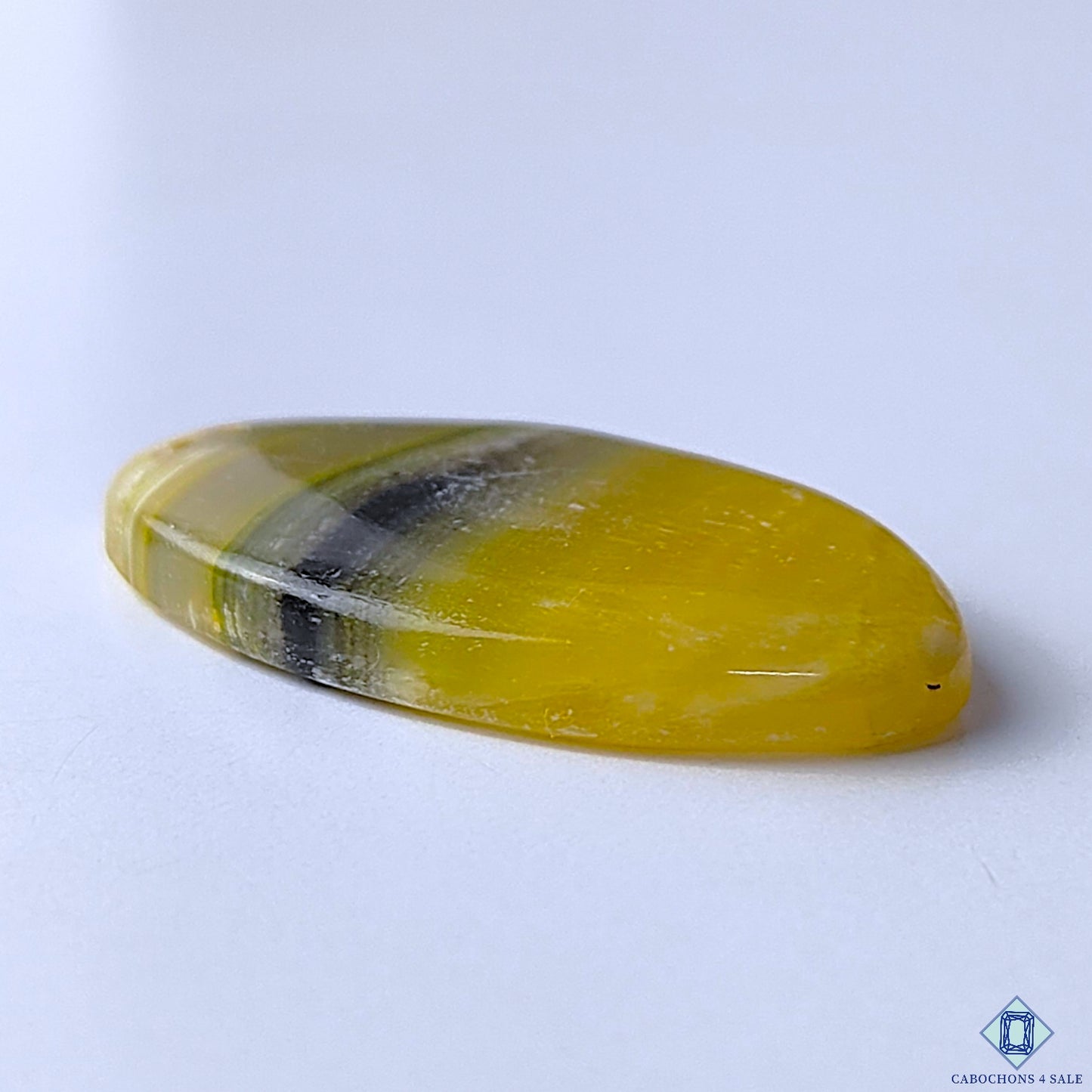 Bumble Bee Jasper