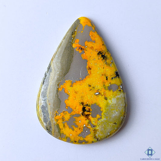 Bumble Bee Jasper