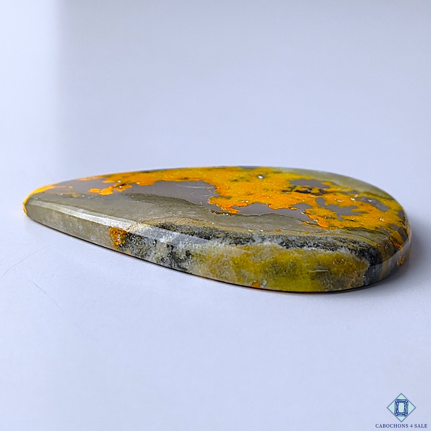 Bumble Bee Jasper
